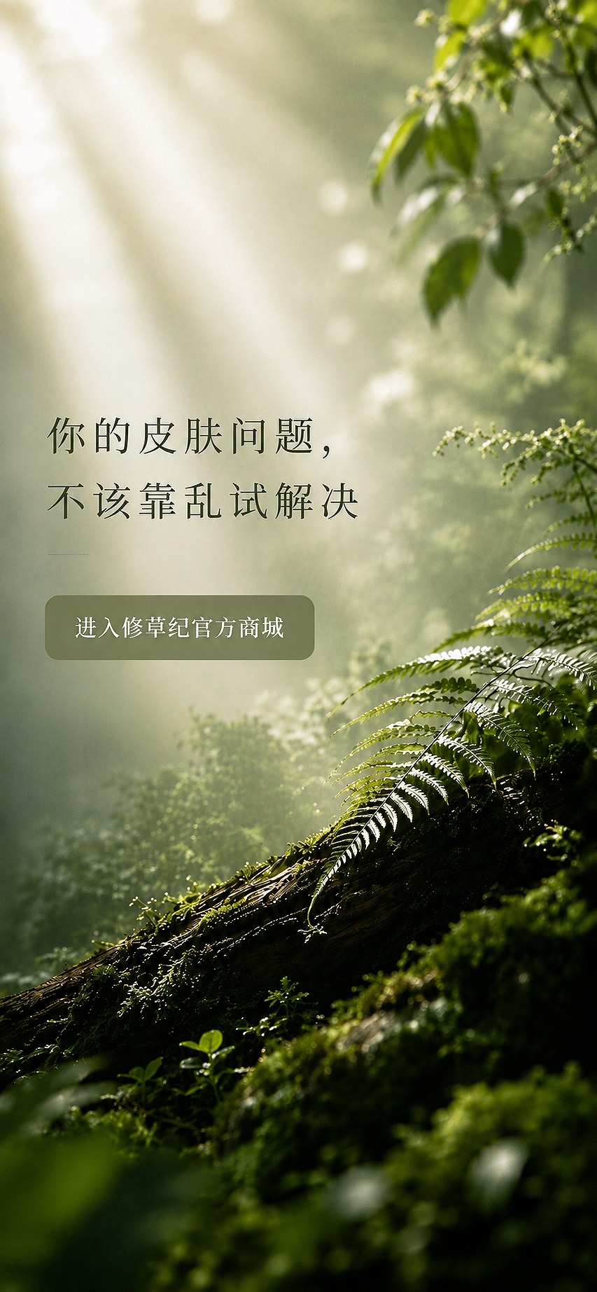 修草纪登录